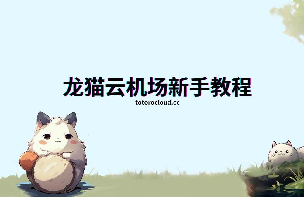 如何使用龙猫云-龙猫云